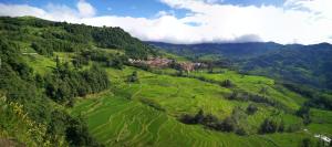 an aerial view of a green valley with trees at Green Hostel & Sunny Guesthouse in Yuanyang