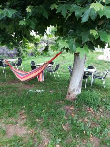 Zahrada ubytování Pension Diana