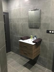 a bathroom with a sink and a mirror at Appartement Studio Tournai in Tournai