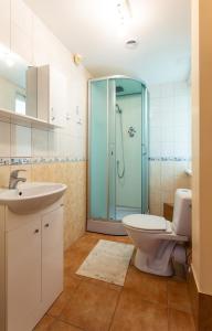 a bathroom with a toilet and a glass shower at Rinvasta in Druskininkai