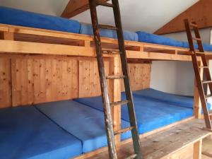 a ladder in a bunk bed room with blue bunk beds at "Ottendorfer Hütte" - Bergwirtschaft in Kirnitzschtal