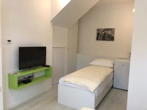 TV a/nebo společenská místnost v ubytování Guesthouse Biser