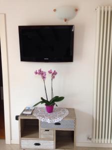 a vase of flowers on a table with a tv on a wall at Casa Gianna in Arco