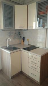 Kuchyňa alebo kuchynka v ubytovaní Family apartments Grguric