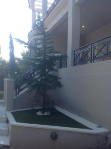 Imagem da galeria de Suite with garden em Aghia Marina