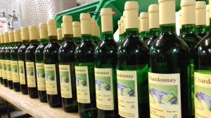 Nápoje v ubytování Appartement Weingut Schoberhof