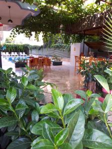 un patio con mesas, sillas y plantas en Elit Apart Otel, en Konaklı