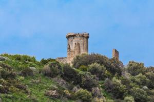 Fotografie z fotogalerie ubytování Villa Maredona v destinaci Ascea