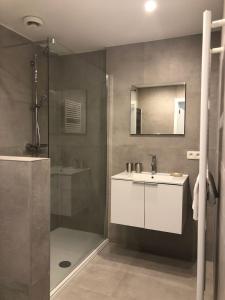 uma casa de banho com um lavatório e um chuveiro em Seaview Loft em Oostende