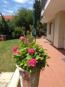 Κήπος έξω από το Casa Vacanze All'Orizzonte Duino