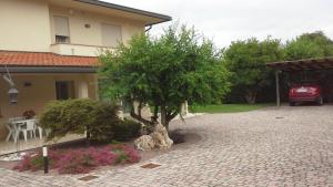 Zahrada ubytování Casa Sofia