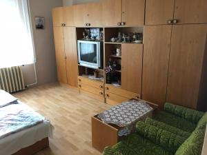 a living room with a couch and a tv at Liget nyaralóház in Balatonföldvár