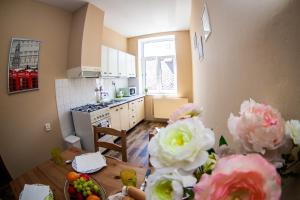 Kuchyň nebo kuchyňský kout v ubytování Apartmán U krále Komenského