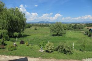 Příroda nedaleko bed and breakfast