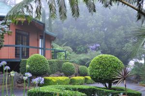 um jardim em frente a uma casa com arbustos e árvores em Escarpment Retreat & Day Spa for Couples em Mount Tamborine