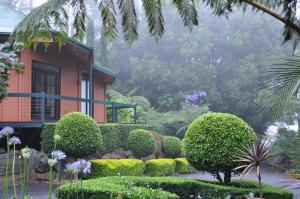 einen Garten vor einem Haus mit Büschen und Bäumen in der Unterkunft Escarpment Retreat & Day Spa for Couples in Mount Tamborine