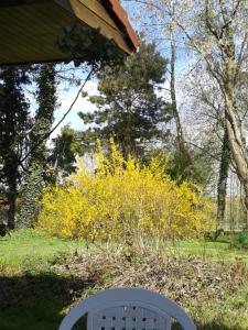 Zahrada ubytování La Petite Chartreuse