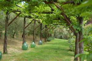 A garden outside Agriturismo Casale Dei Frontini