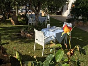 Zahrada ubytování B&B Elena