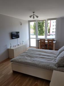 グダニスクにあるApartament Przymorzeのベッドルーム1室(ベッド1台、テーブル、椅子付)