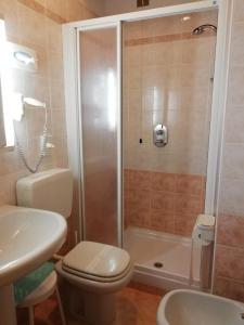 a bathroom with a shower and a toilet and a sink at Hotel il Cardo in San Vito di Cadore