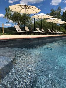 uma piscina com cadeiras e guarda-sóis em Agriturismo Borgo Il Bonagino em Radda in Chianti