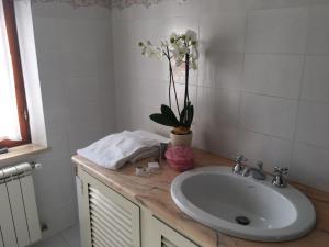 Fotografie z fotogalerie ubytování B&B Elena v destinaci San Teodoro