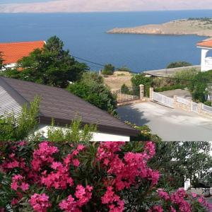 a view of the ocean from a house with pink flowers at Apartman Zahira in Karlobag