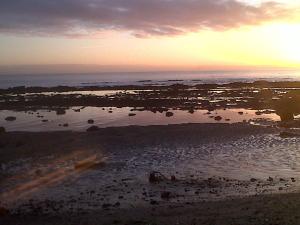 una puesta de sol sobre una playa con aves en el agua en Seascape Largo en Lundin Links