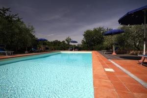 a swimming pool with blue umbrellas and chairs at Agriturismo Molinuzzo in Barberino di Val dʼElsa