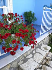 a bunch of red geraniums sitting on a balcony at Blue White House in Kalamitsi