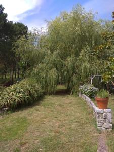 Photo de la galerie de l'établissement Casa Ramoniña, à Ribeira 31 autres photos