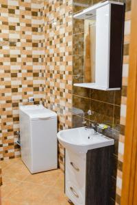 トラスコヴェッツにあるGreen Apartments Bandery 35の洗面台、トイレ、鏡のあるバスルーム +10枚の写真