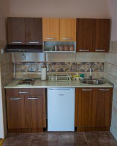 a kitchen with wooden cabinets and a white dishwasher at Apartmani "STEFANOVIĆ" in Soko Banja