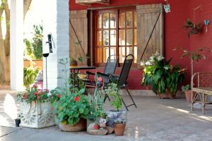 Un jardín fuera de Hotel de Campo El Rebenque