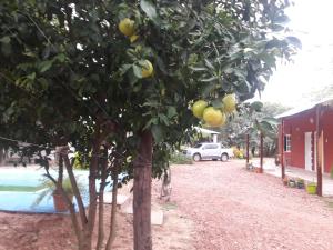 Un jardín fuera de Hotel de Campo El Rebenque