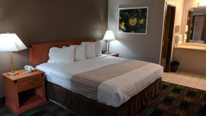 um quarto de hotel com uma cama e duas lâmpadas em South Shore Inn em Sandusky