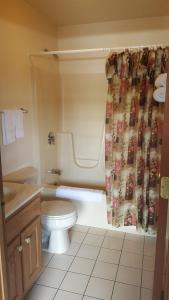 Bilik mandi di Alpine Motel in heart of Wisconsin Dells downtown. +49 gambar