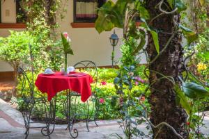 Κήπος έξω από το Hotel Jovel +84 φωτογραφίες