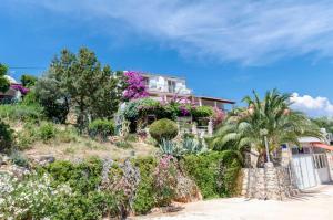 a house on a hill with plants and flowers at Apartments Dinko in Gdinj