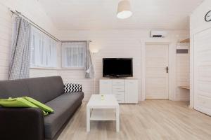 ein Wohnzimmer mit einem Sofa und einem TV in der Unterkunft Domki "Arkadia" in Pobierowo