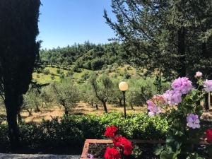 - une vue sur une colline fleurie et une lumière de rue dans l'établissement Agriturismo Testalepre, à Greve in Chianti