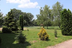Fotografia z galérie ubytovania Liget Apartmanház v destinácii Kehidakustány