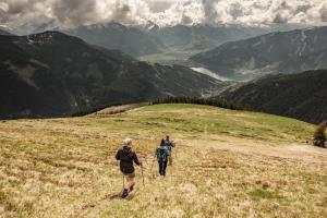 Przyroda w pobliżu tego domu w stylu alpejskim