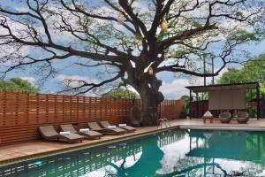 Bazén v ubytování Bamboori Boutique Resort nebo v jeho okolí