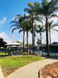 a park with palm trees and a gazebo at Tamworth Central Motel in Tamworth