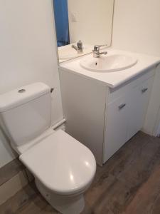 Mer的住宿－Gite Felicidade Chambord，浴室配有白色卫生间和盥洗盆。