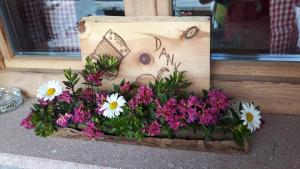 Casa da Aldo في Castelfondo: حديقة الزهور في صندوق خشبي مع الزهور