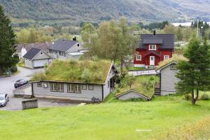 un gruppo di case con erba sui tetti di Røldalstunet Overnatting a Røldal