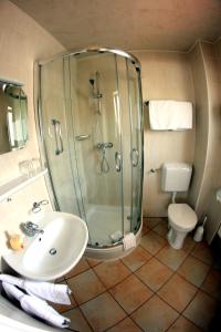 a bathroom with a shower and a sink and a toilet at Hotel Schmid in Bad Bellingen